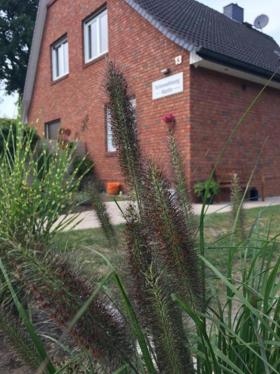 Ferienwohnungen Heideidylle Amelinghausen Exterior foto